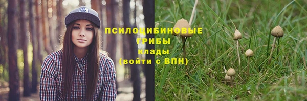 каннабис Алексин