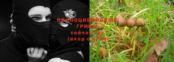 apvp Алексеевка